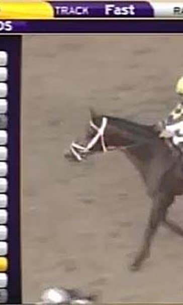 Intense Holiday appears to be a rising star after the Risen Star